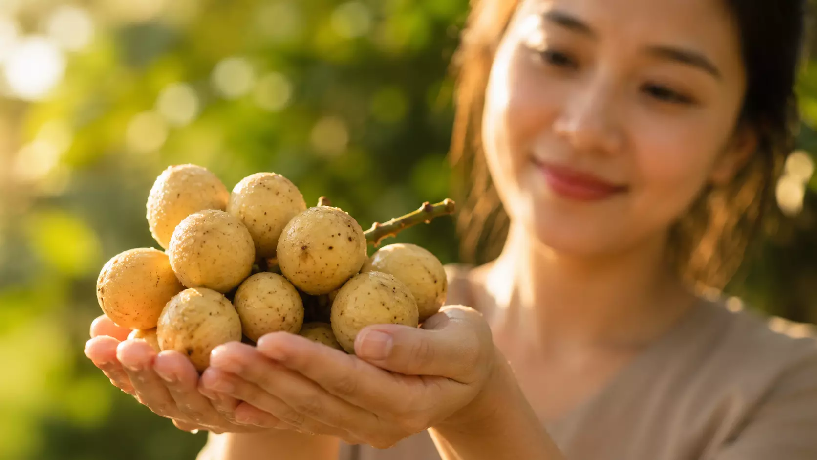 bòn bon bao nhiêu calo, quả bòn bon bao nhiêu calo