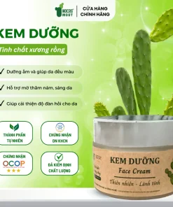 Kem dưỡng Nocas Most, Kem dưỡng da Nocas Most, Kem dưỡng trắng da Nocas Most