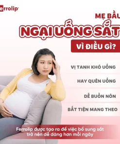 Ferrolip, Ferrolip sắt, Sắt Ferrolip, Ferrolip cho mẹ bầu, Sắt Ferrolip cho bà bầu, sắt dạng bột, sắt không tanh